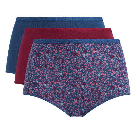 LOT DE 3 CULOTTES TAILLE HAUTE