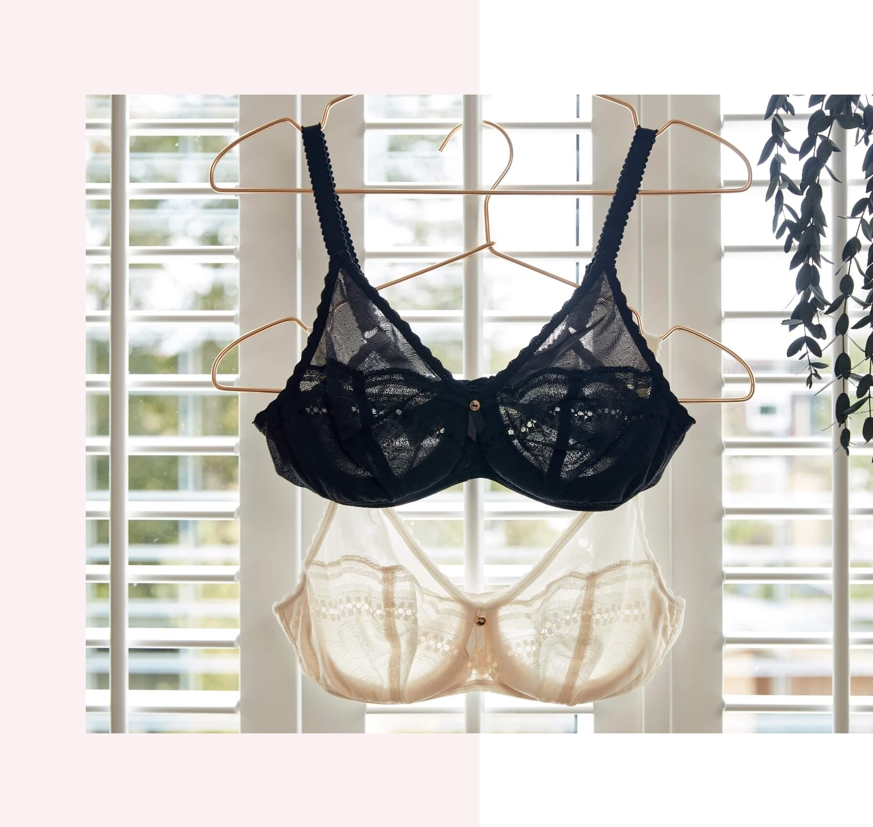 Secret Comfort | PLAYTEX
